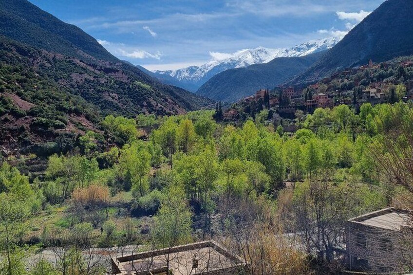 A mountainous landscape with a valley, green trees, and snow-capped peaks. 1