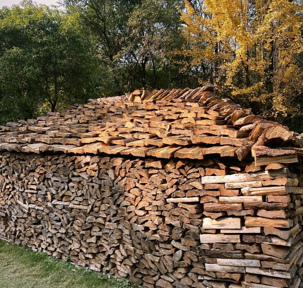 A stack of firewood in a forested area. 3
