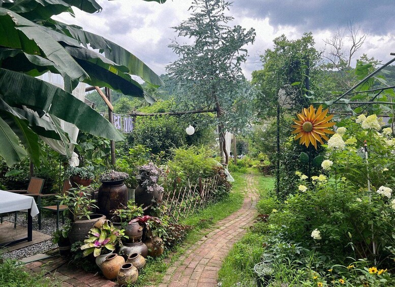A garden path with potted plants and a large sunflower. 5