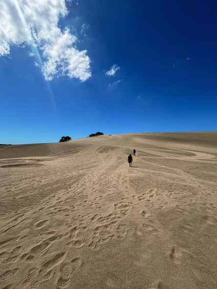 A vast desert landscape with sand dunes and a clear blue sky. 1