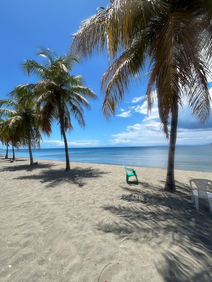 A beach with palm trees, a green chair, and a white chair on the sand. 3