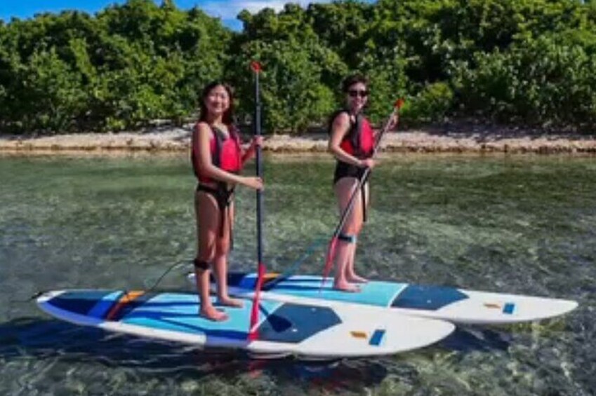 Two people paddleboarding on a calm body of water with clear skies and a forested shoreline in the background. 3