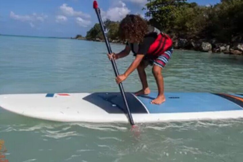A person standing on a paddleboard in clear water with a rocky shoreline in the background. 2
