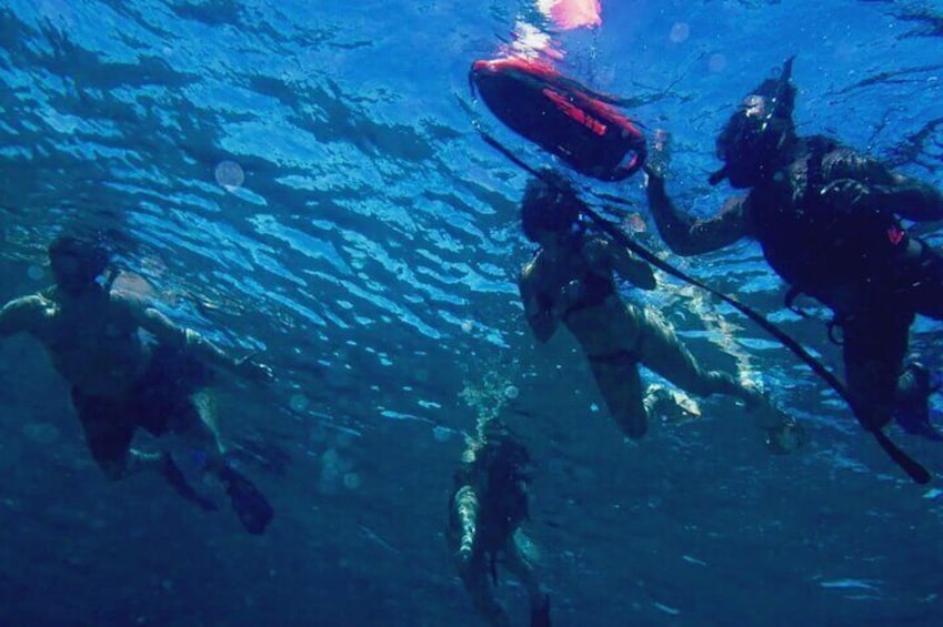 Des plongeurs sous l’eau, l’un d’eux tenant un objet rouge, probablement une bouée, et un autre plongeur avec une lance. 1