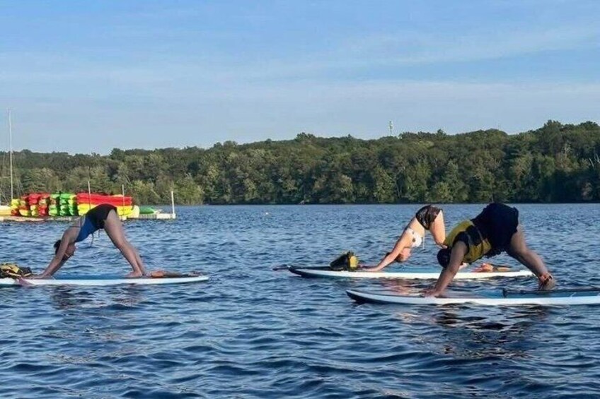 Two people practicing yoga on surfboards in a lake with a forested shoreline. 5