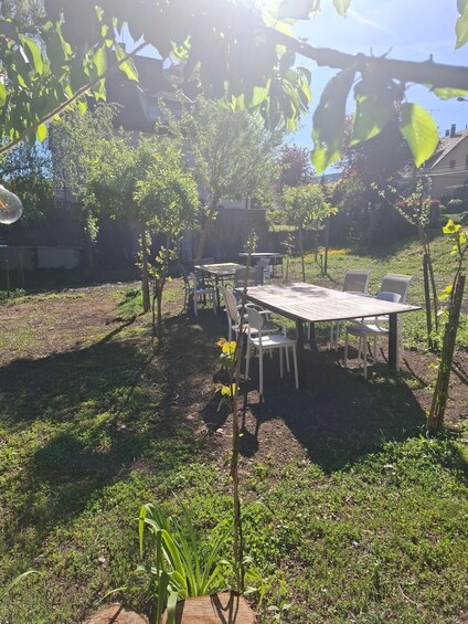 A wooden deck with a table and chairs, surrounded by young trees and grass. 5