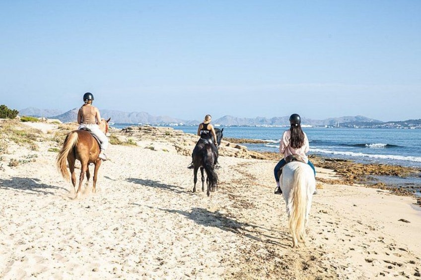 Horse Riding in Mallorca on the Beach and Forest 3