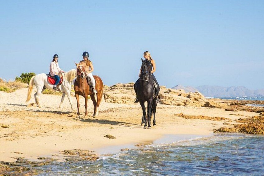 Horse Riding in Mallorca on the Beach and Forest 2