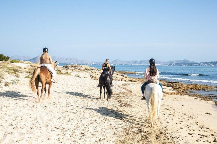 Trois personnes montent à cheval sur une plage de sable, avec l’océan et des montagnes en arrière-plan. 3