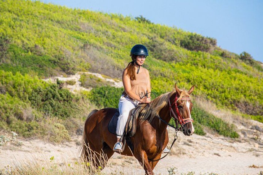 Horse Riding in Mallorca on the Beach and Forest 1