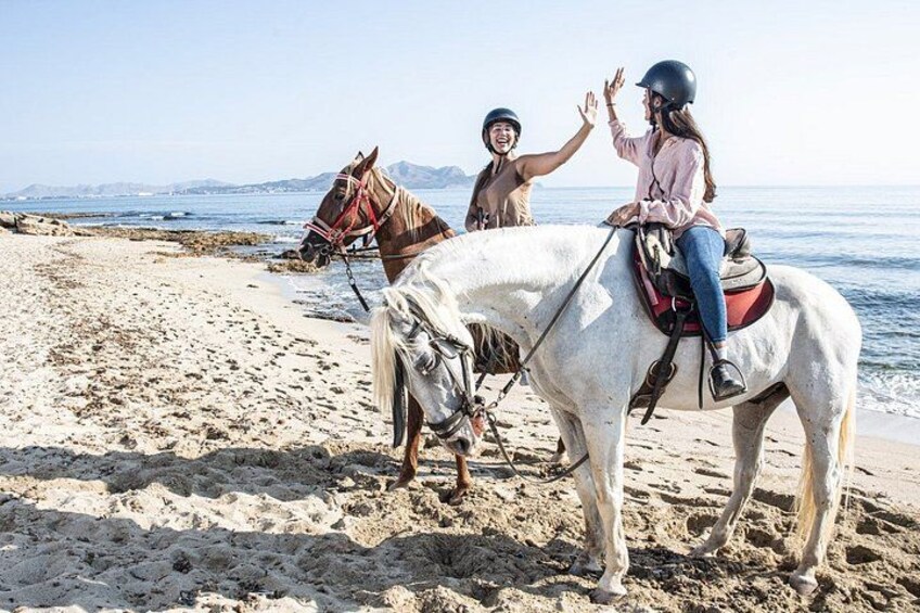 Horse Riding in Mallorca on the Beach and Forest 5