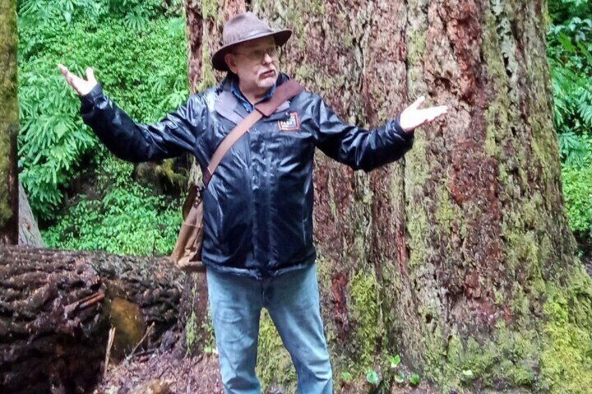 A person standing with arms outstretched in a forested area with a large tree trunk in the background. 5