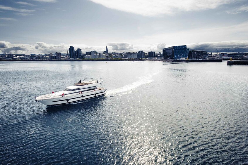 A white yacht on calm waters with a city skyline in the background. 3