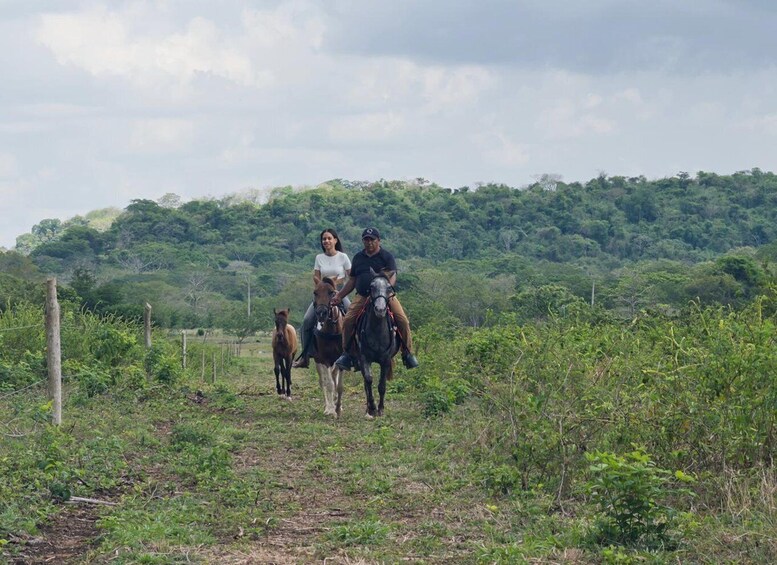 Two people riding horses on a dirt path with dense greenery and trees in the background. 1