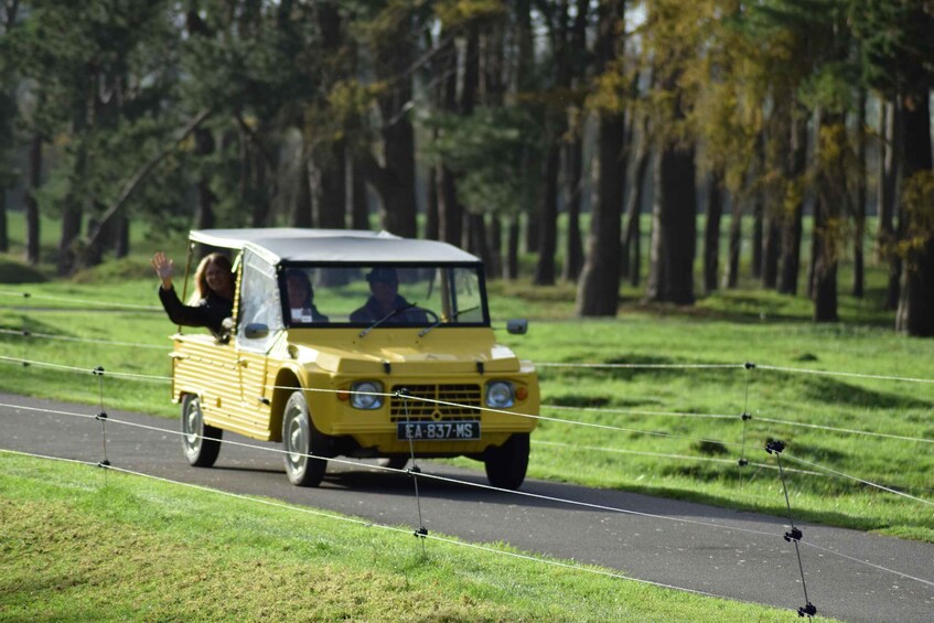 A yellow car driving on a road with a forest in the background. 4