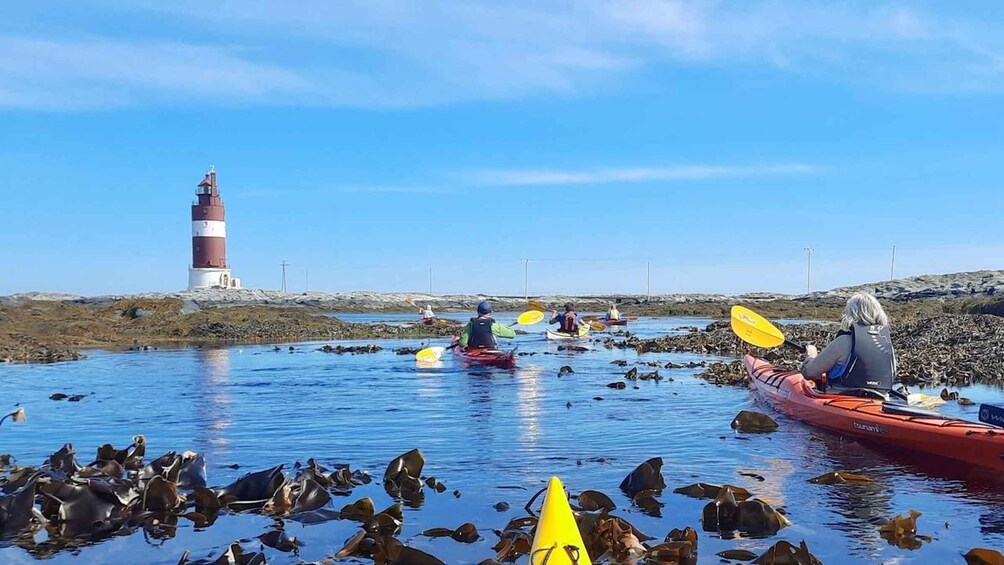 Kayakers on a rocky shoreline with a lighthouse in the background. 3