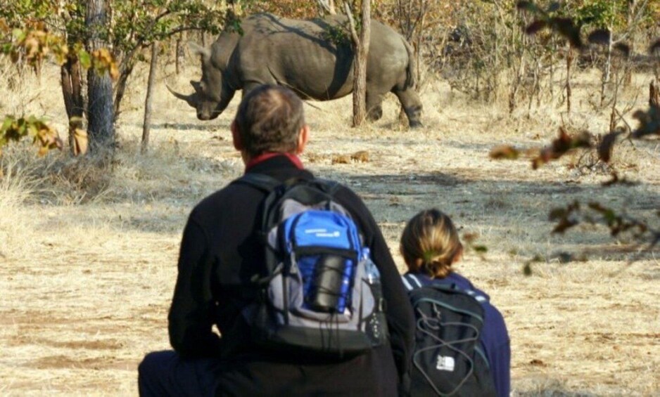 A man and a child observing a rhinoceros in a dry, grassy area with sparse trees. 3