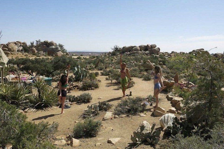Explore the Bohemian vibe in Joshua Tree 4