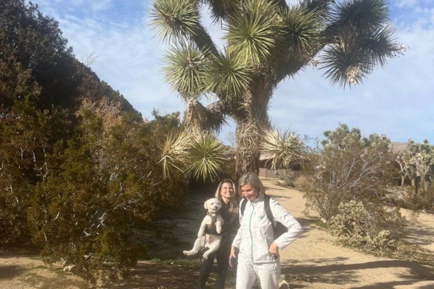 Explore the Bohemian vibe in Joshua Tree 5