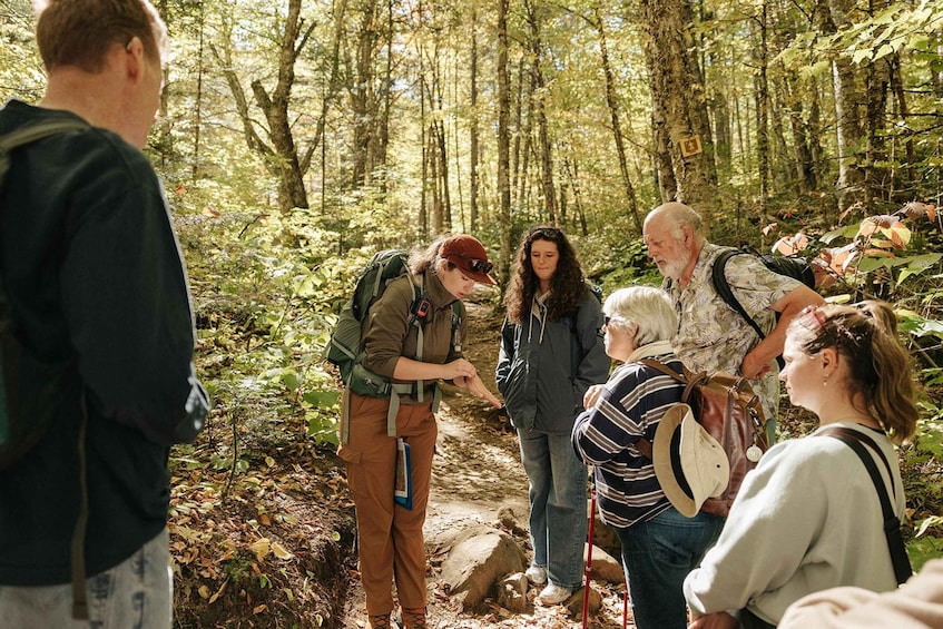 Picture 8 for Activity All-Inclusive Guided Hike to Jacques-Cartier National Park 2