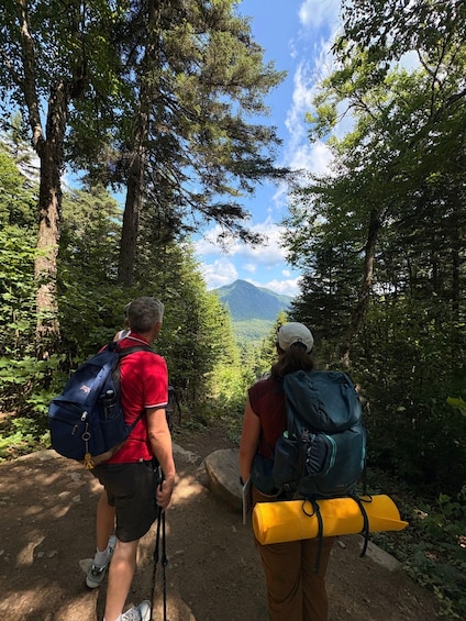 Picture 9 for Activity All-Inclusive Guided Hike to Jacques-Cartier National Park 5