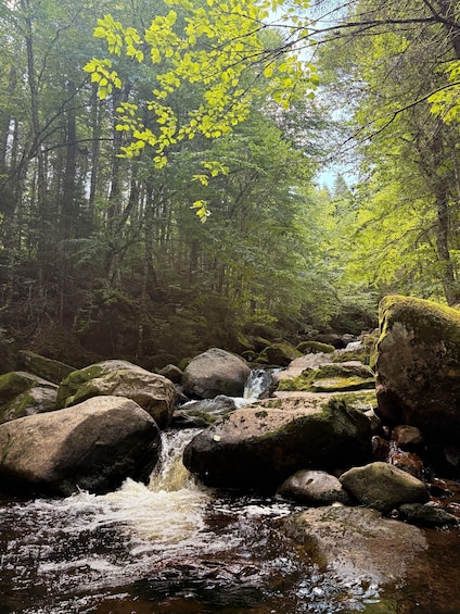 Picture 11 for Activity All-Inclusive Guided Hike to Jacques-Cartier National Park 2