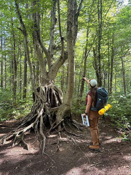 Picture 3 for Activity All-Inclusive Guided Hike to Jacques-Cartier National Park 3
