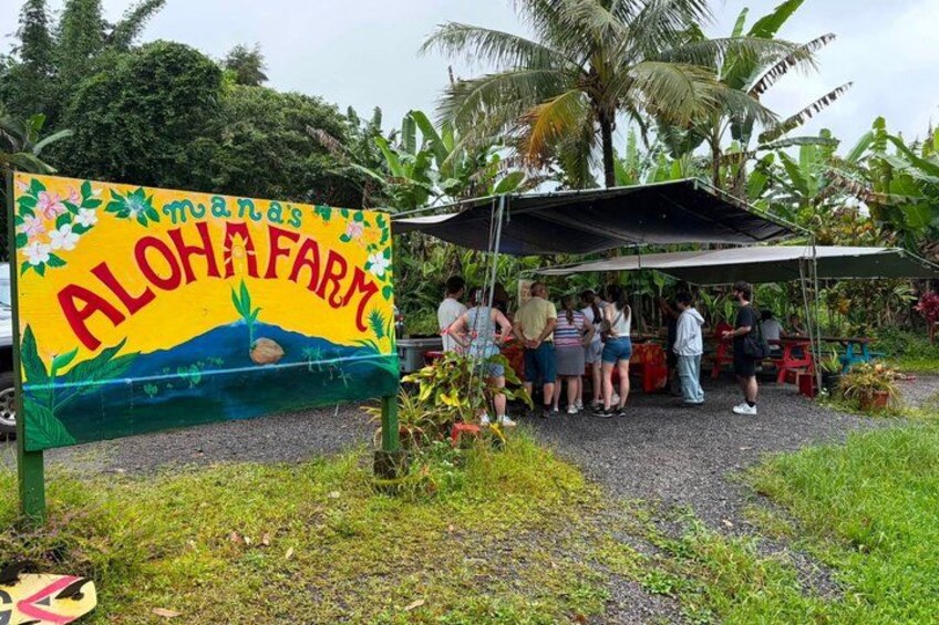 Hilo Cruise Day and Volcano Tours 4