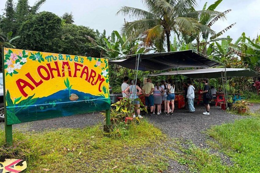Hilo Cruise Day & Volcano Tours 4