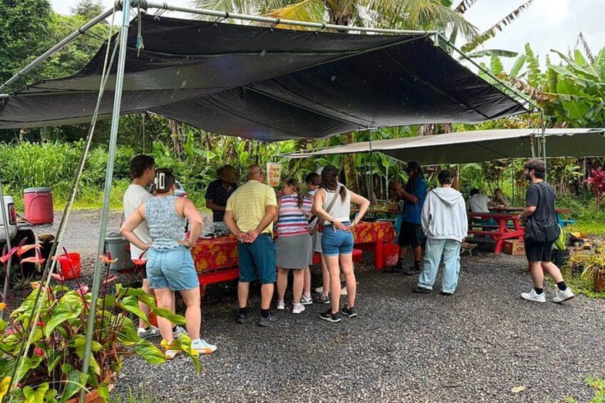 Hilo Cruise Day & Volcano Tours 3