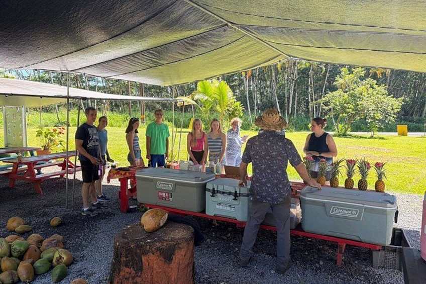People standing under a tent, with a table of coconuts and a cooler. 2