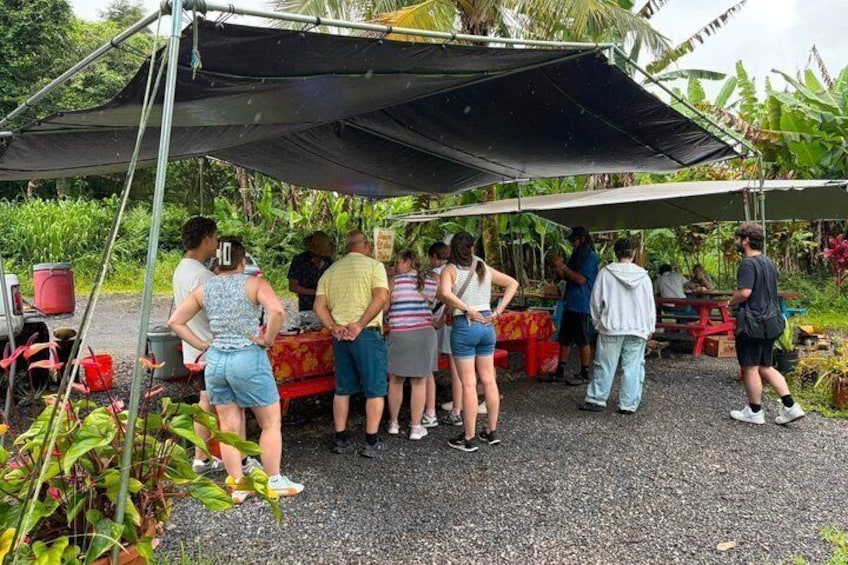 Hilo Cruise Day Tours 5