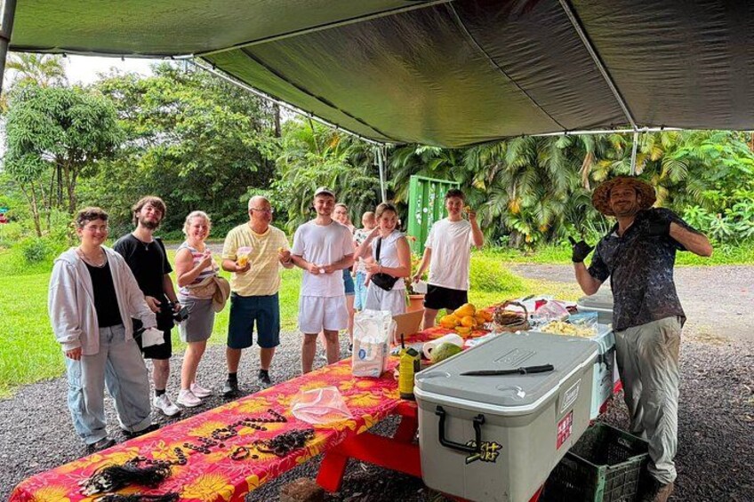 Hilo Cruise Day and Volcano Tours 5