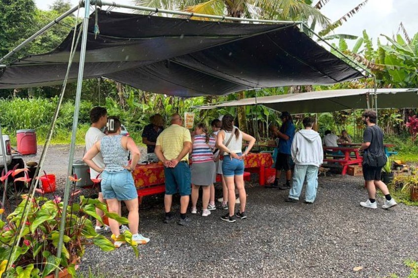 Hilo Shore Excursion: Volcanoes, Waterfalls & Beaches 4