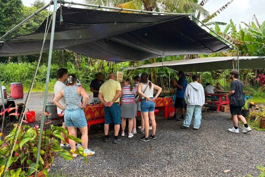 Hilo Cruise Day & Volcano Tours 3