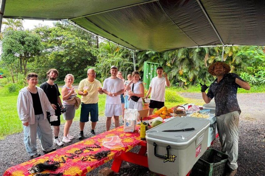 Hilo Cruise Day & Volcano Tours 5