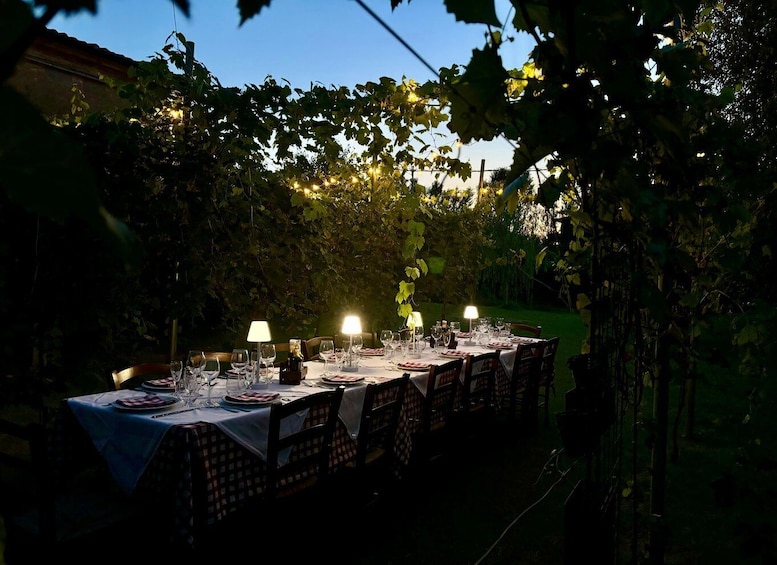 An outdoor dining setup with tables and chairs, surrounded by foliage. 1
