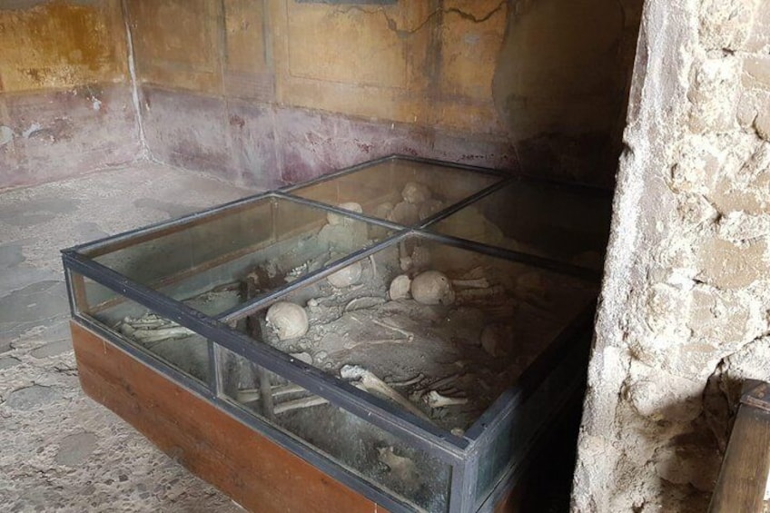 A glass display case containing skeletal remains. 3