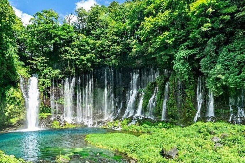 A waterfall cascading into a clear pool surrounded by lush greenery. 1