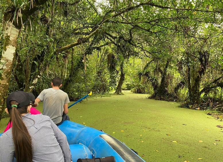 A group of people rafting through a dense, green forest. 4