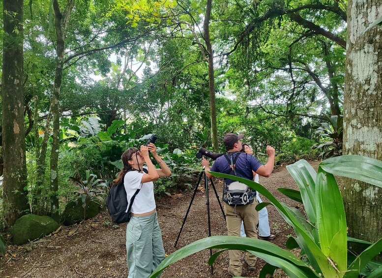 Two people photographing in a dense forest with a camera on a tripod. 1