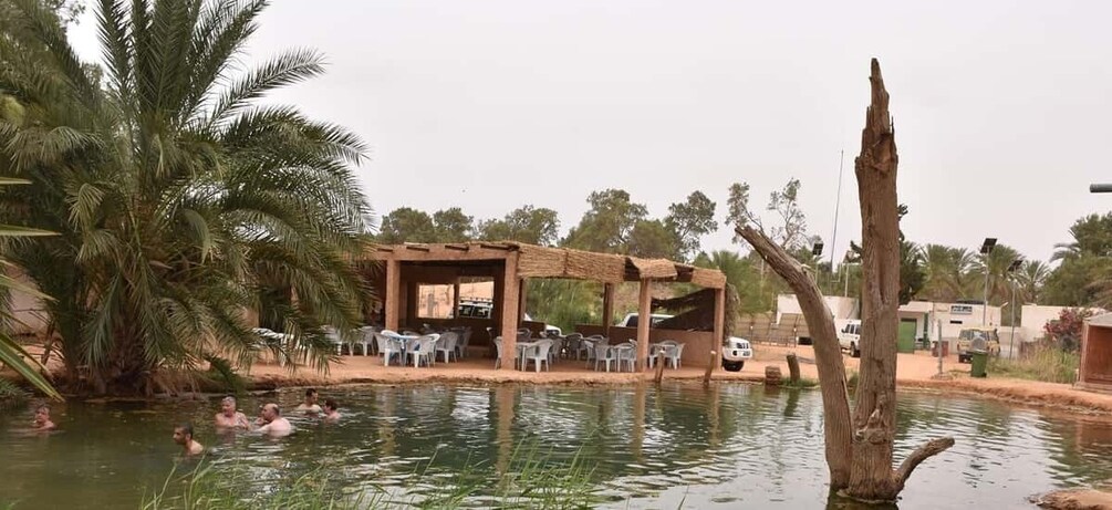 A water body with people swimming, a thatched structure with chairs, palm trees, and a damaged tree trunk. 1