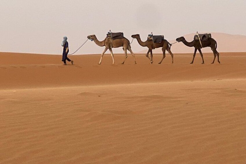 A person leading camels across a desert landscape. 3