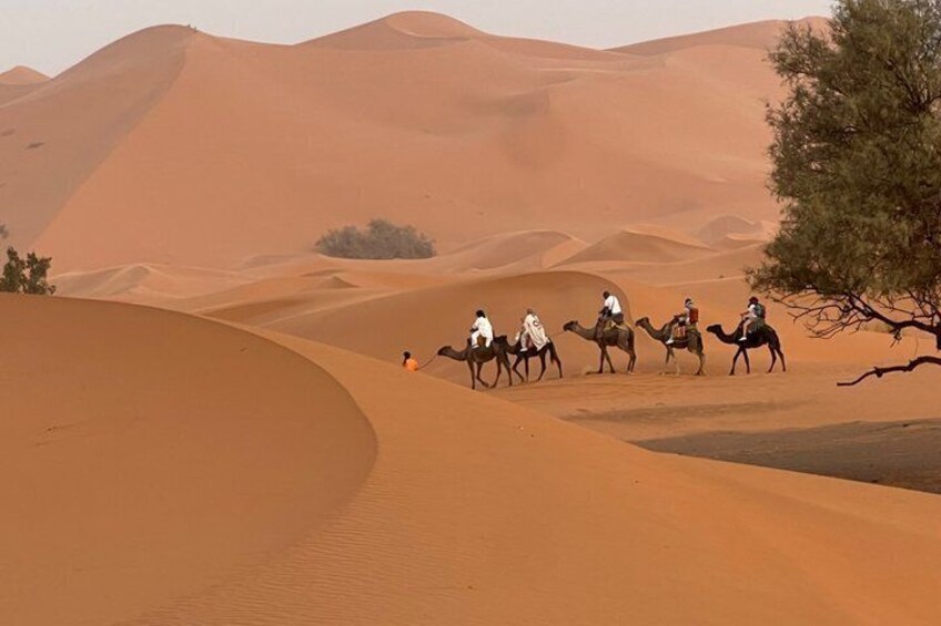 A group of people riding camels across sand dunes in a desert landscape. 4