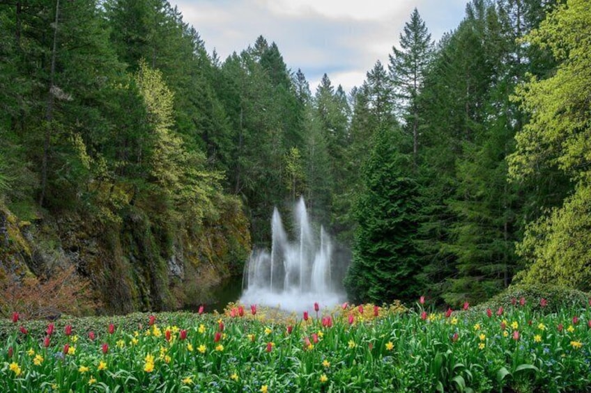 A forest with a waterfall and colorful flowers. 1