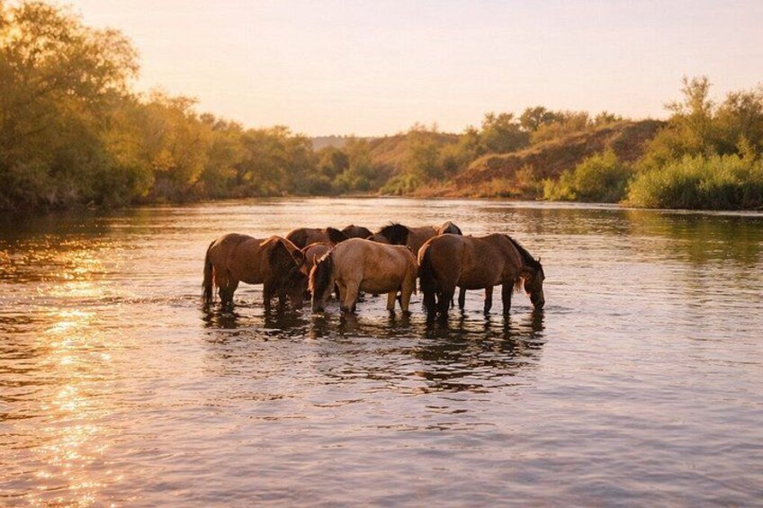 Guided Sunset Raft Tour on the Lower Salt River 4