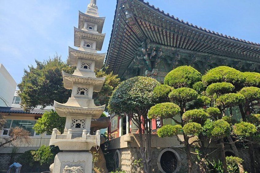 Busan Bites Food Tour with 10+ Tastings 4