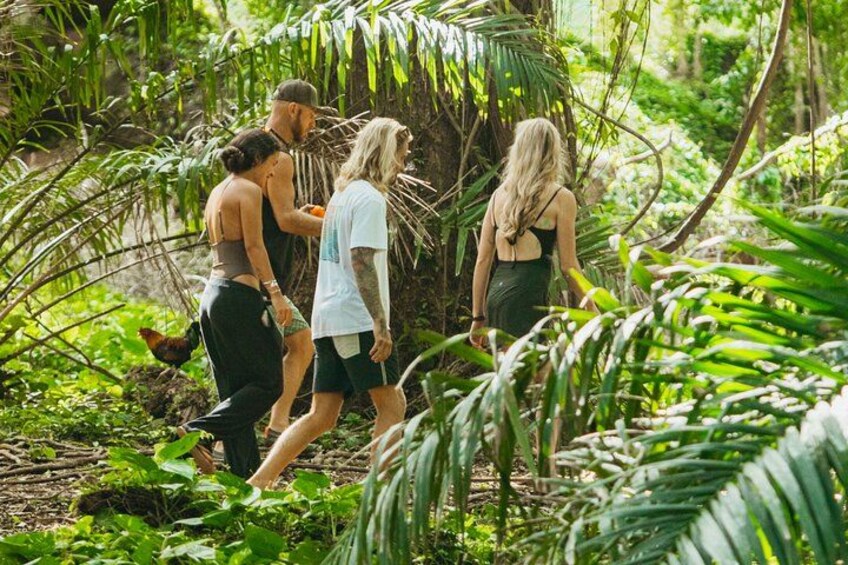 Private Road to Hana Waterfalls, Black Sand & Hidden Gems 2