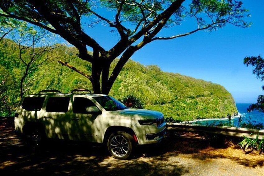 Private Road to Hana Waterfalls, Black Sand & Hidden Gems 3
