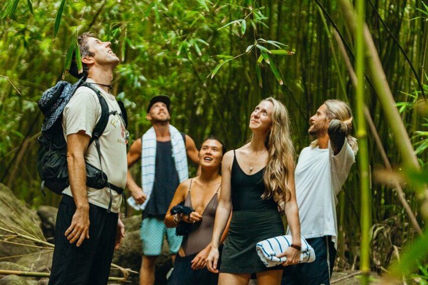 Private Road to Hana Waterfalls, Black Sand & Hidden Gems 3